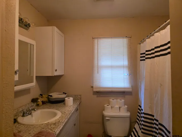 a bathroom with a sink toilet and shower