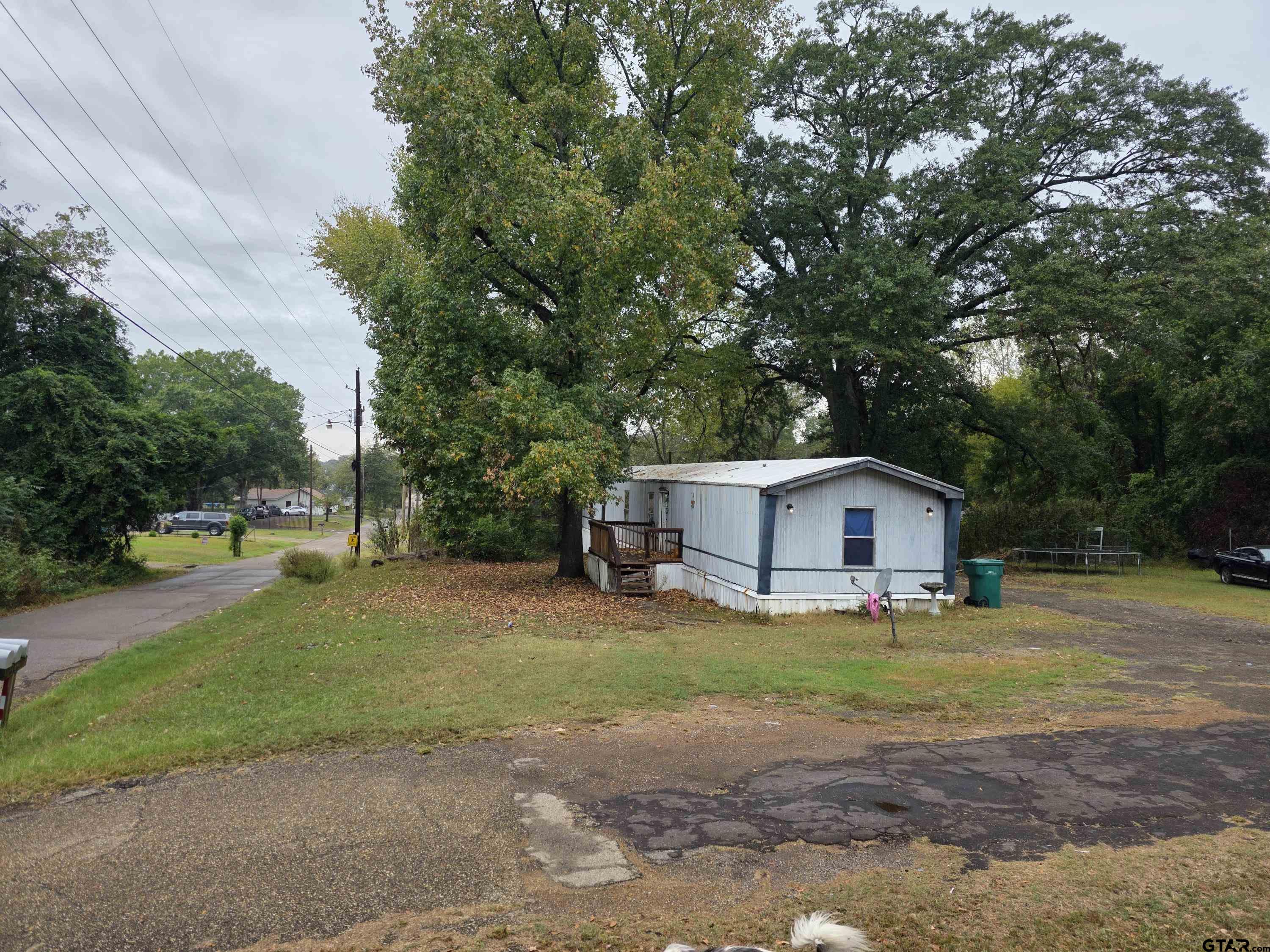 304 Walnut Street Naples, TX 75568 - Photo 4 of 28 a view of a house with a big yard and large trees