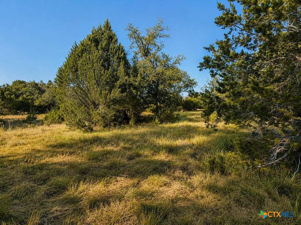 1098 Winter Road Gatesville, TX 76528 - Photo 22 of 31 Gallery Image 22