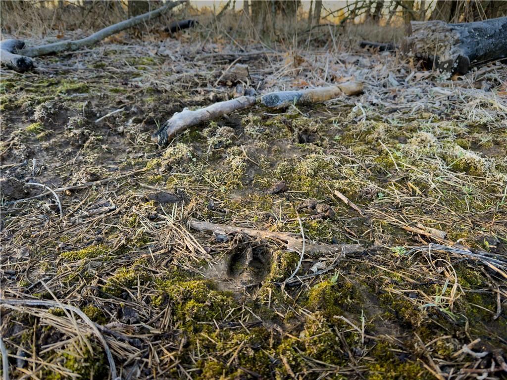 Southwest Outer Road Harrisonville, MO 64701 - Photo 10 of 35