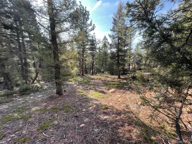 $59,000 | 12282 South Hosman Court, Conifer, CO 80433