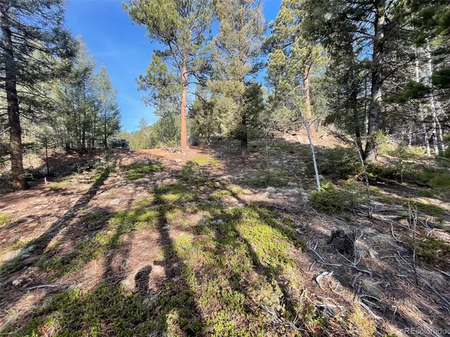 $59,000 | 12282 South Hosman Court, Conifer, CO 80433