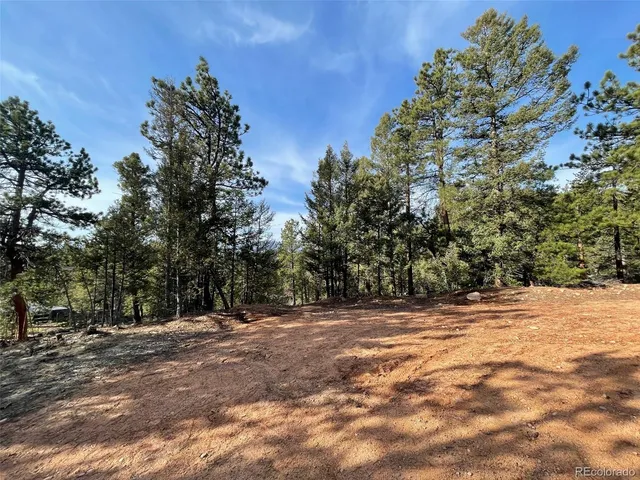$59,000 | 12282 South Hosman Court, Conifer, CO 80433