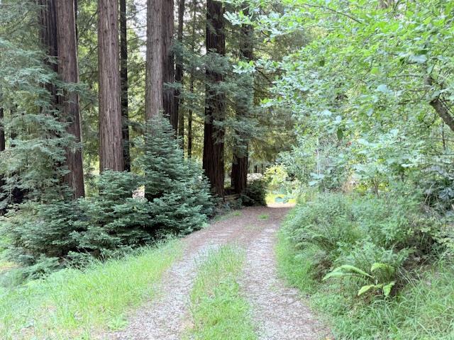 1701 Felton Quarry Road Felton, CA 95018 - Photo 9 of 13