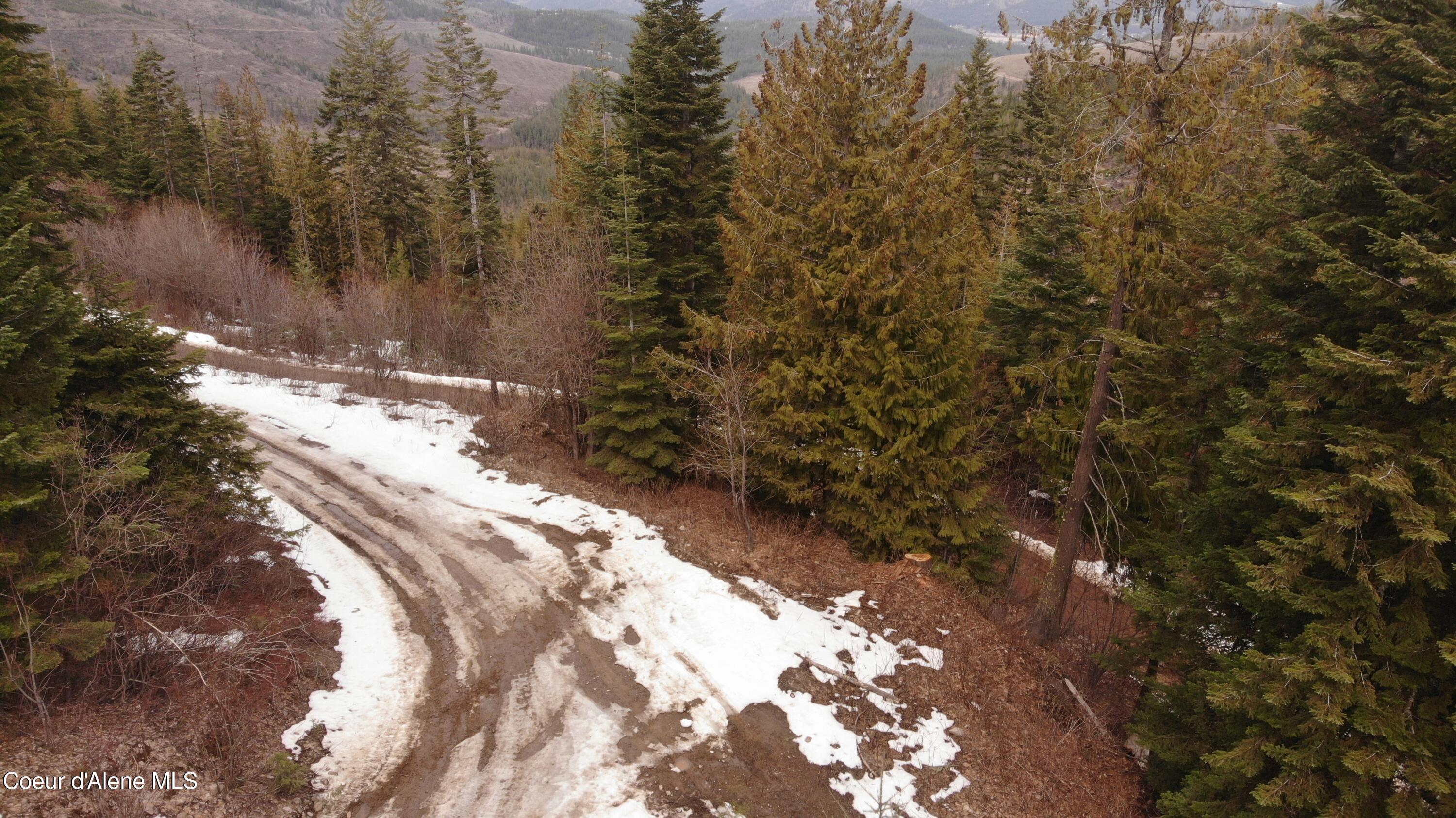 193 Wildflower Road St. Maries, ID 83861 - Photo 42 of 44 DJI_0239
