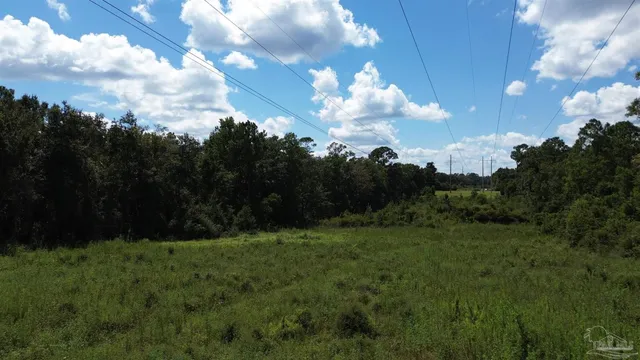 a view of a city with lush green forest