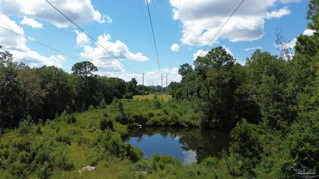 a view of a lake in middle of forest