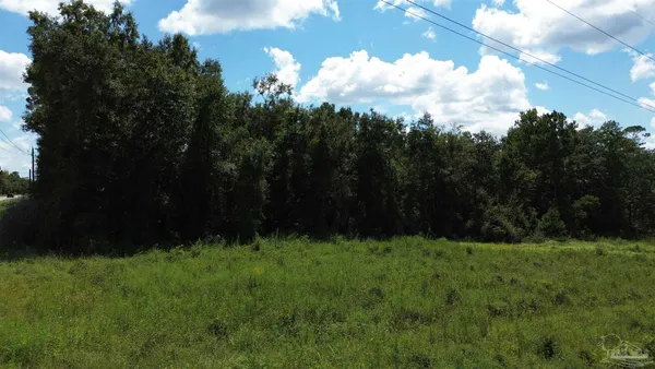 a view of backyard with green space