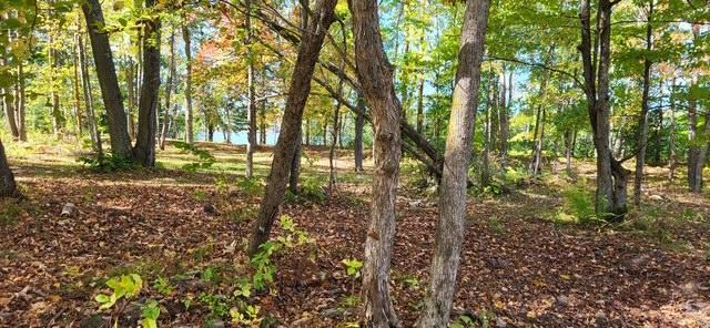 65770 Big Pine Road Finlayson, MN 55735 - Photo 36 of 38