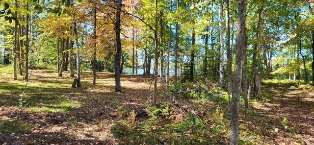 65770 Big Pine Road Finlayson, MN 55735 - Photo 38 of 38