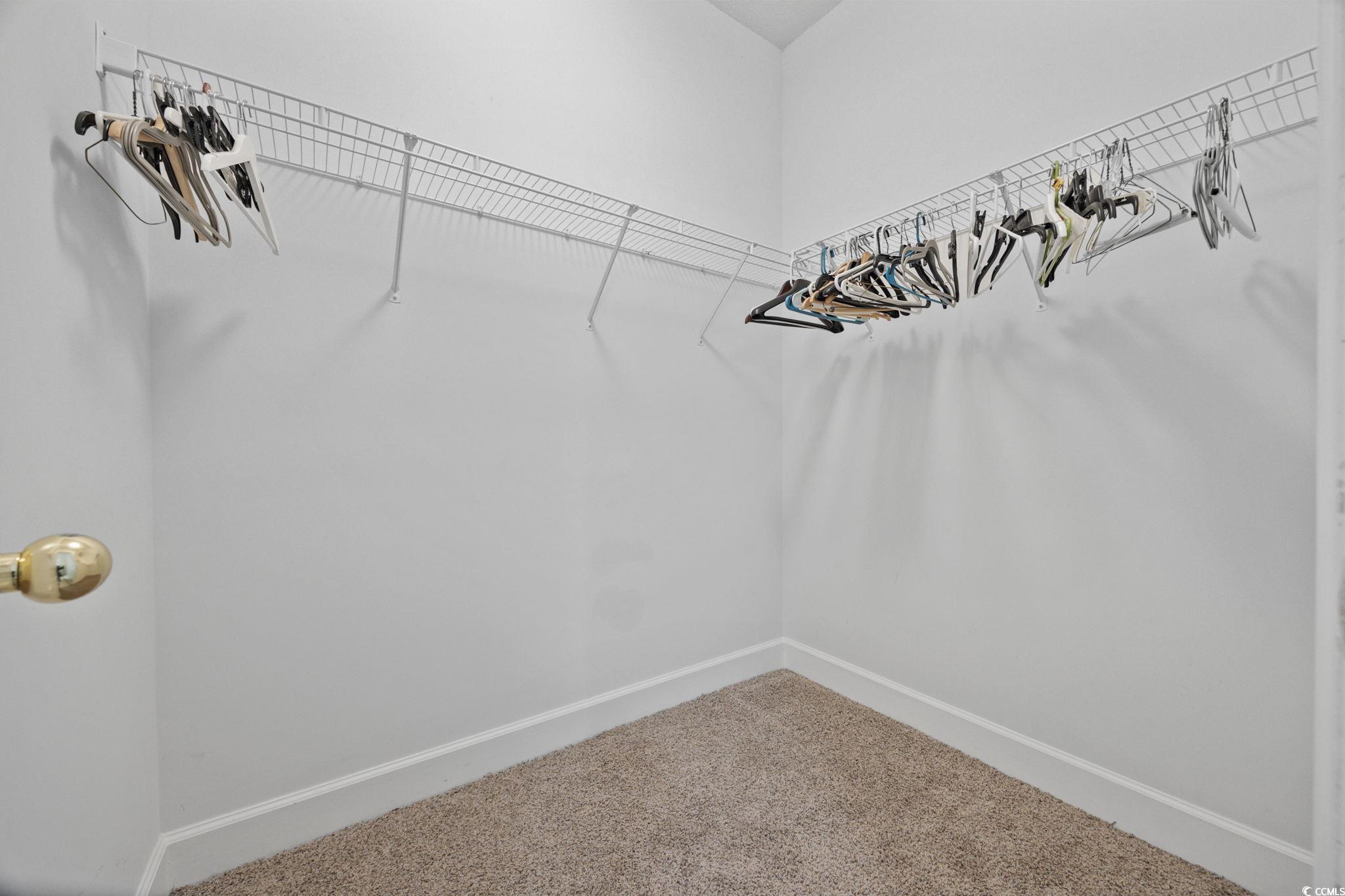 306 River Rock Lane, Unit 1304 Murrells Inlet, SC 29576 - Photo 25 of 40 Walk in closet with carpet floors