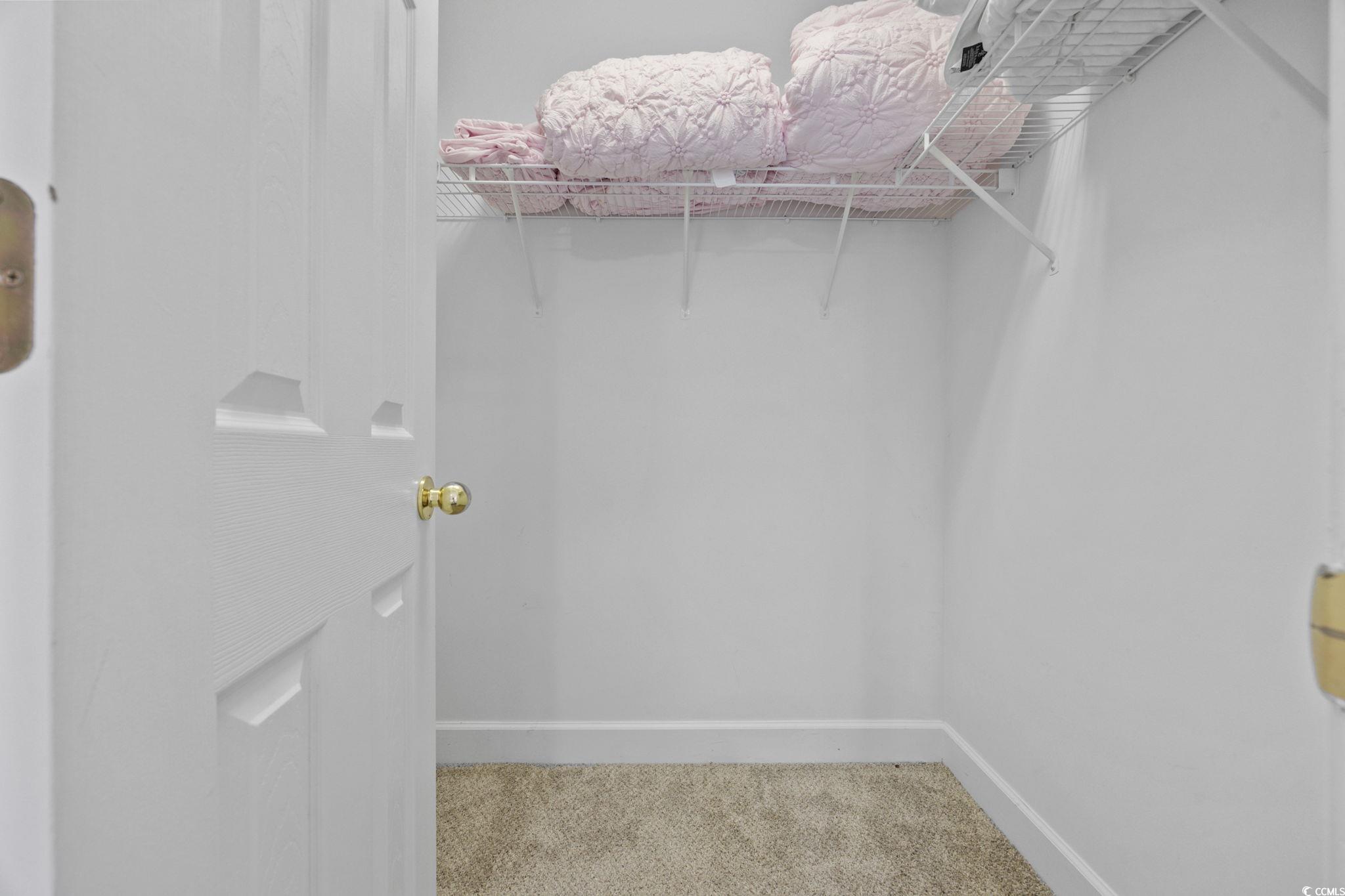 306 River Rock Lane, Unit 1304 Murrells Inlet, SC 29576 - Photo 29 of 40 Spacious closet featuring light colored carpet
