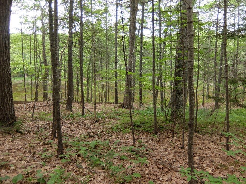 108 Shore Road Edgecomb, ME 04556 - Photo 21 of 35 Photo