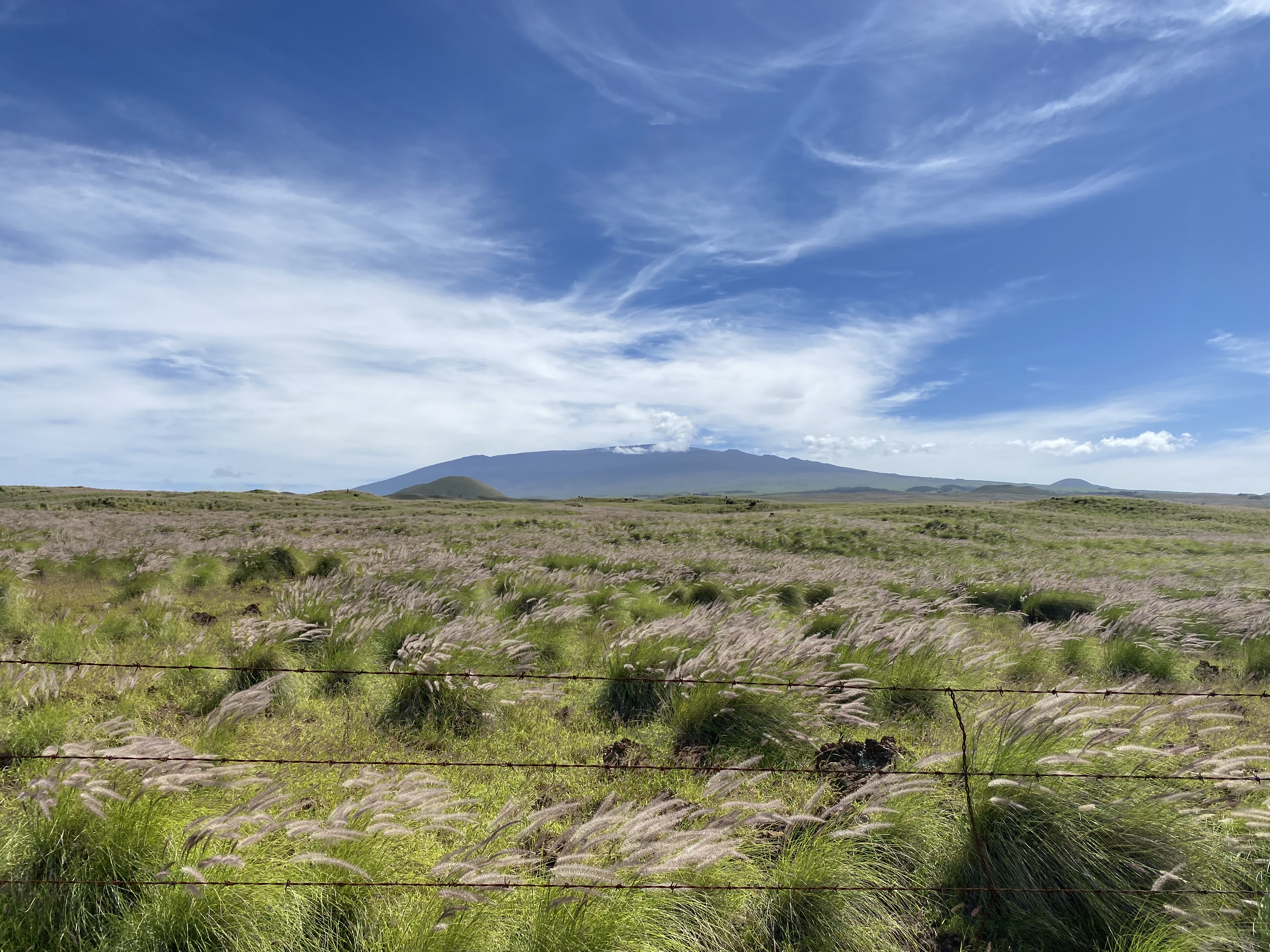 10 A Lot Waikoloa, HI 96738 - Photo 2 of 2