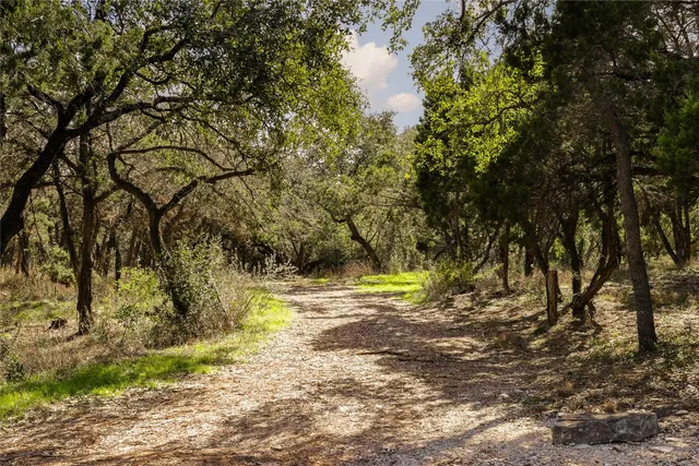 a view of yard with green space