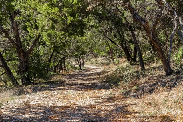 a view of a yard with large trees