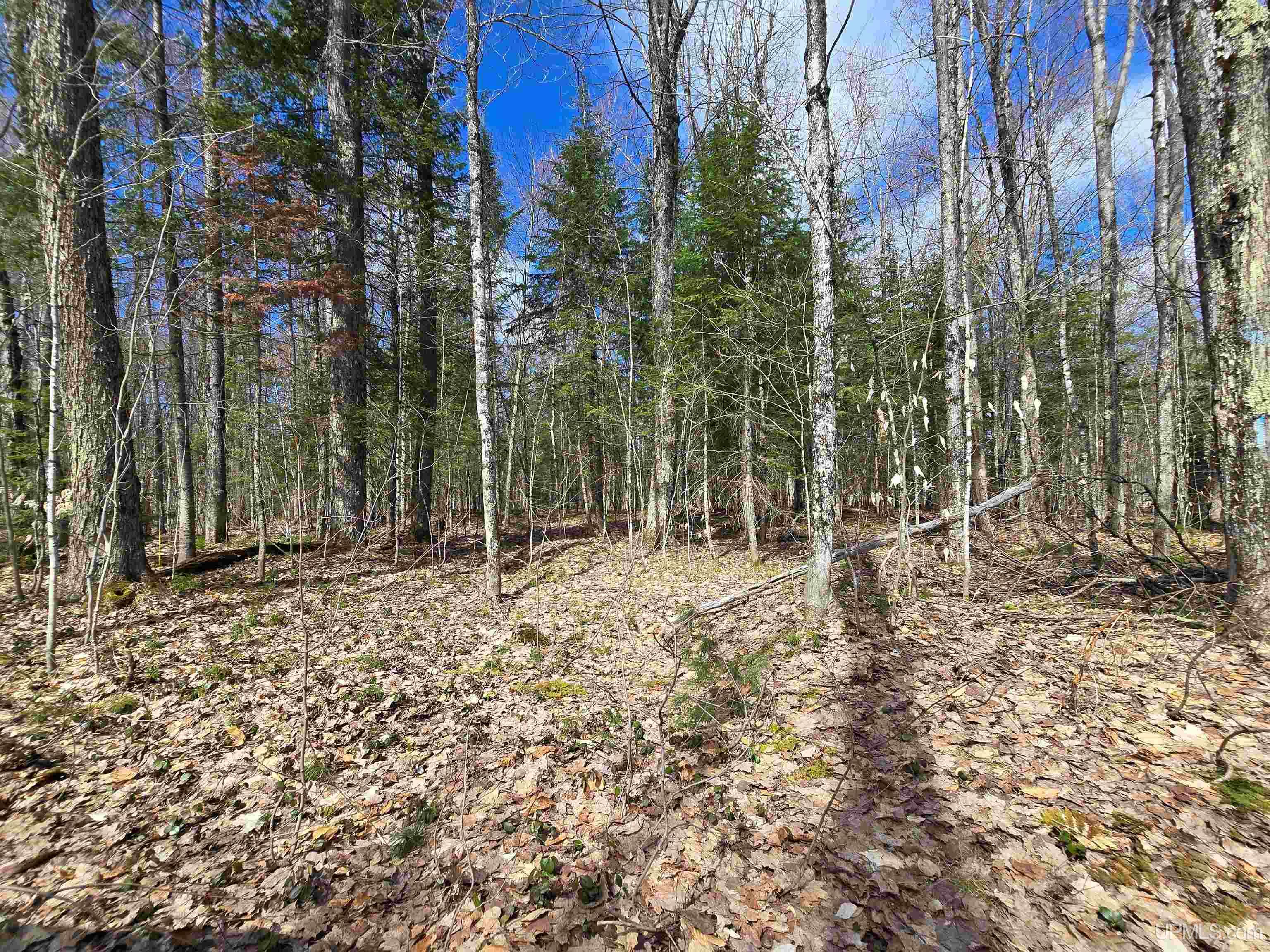 Tbd Big Twin Lake Road Wetmore, MI 49895 - Photo 8 of 14