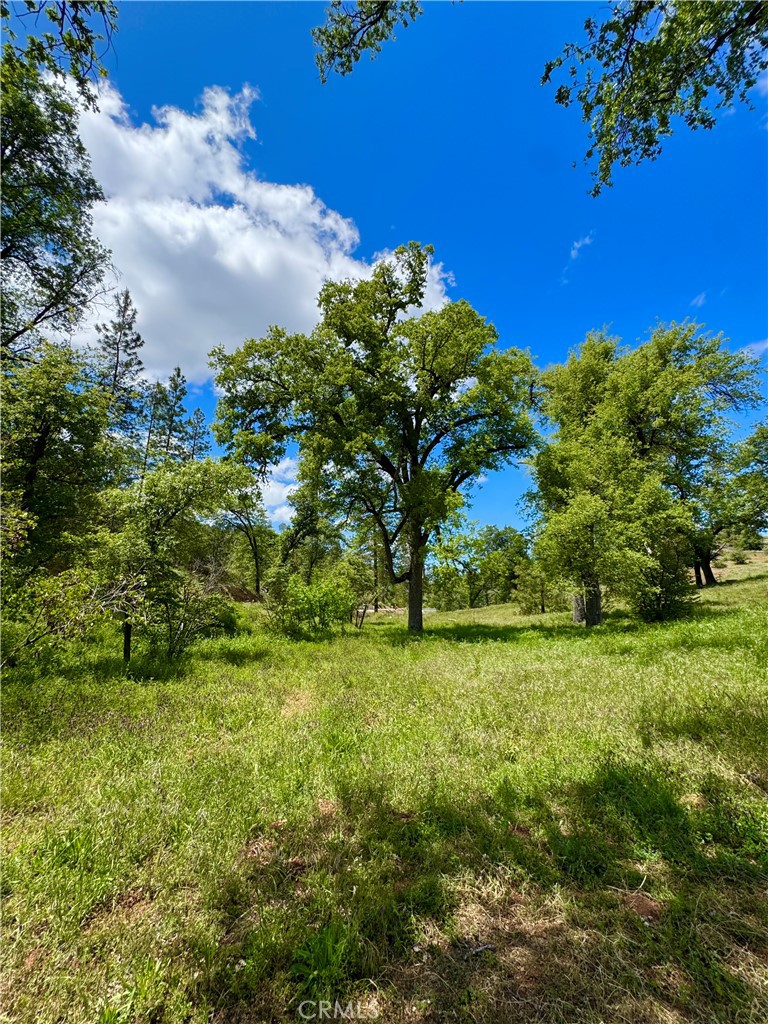 5628 East Whitlock Road Mariposa, CA 95338 - Photo 3 of 41