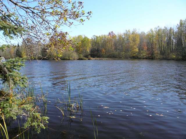 N9077 Elk River Road Phillips, WI 54555 - Photo 15 of 17 Gallery Image 15