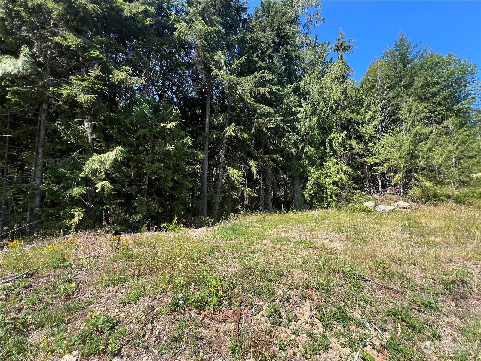 1-xxxx Mt Jupiter Road Brinnon, WA 98320 - Photo 16 of 19 Gallery Image 16
