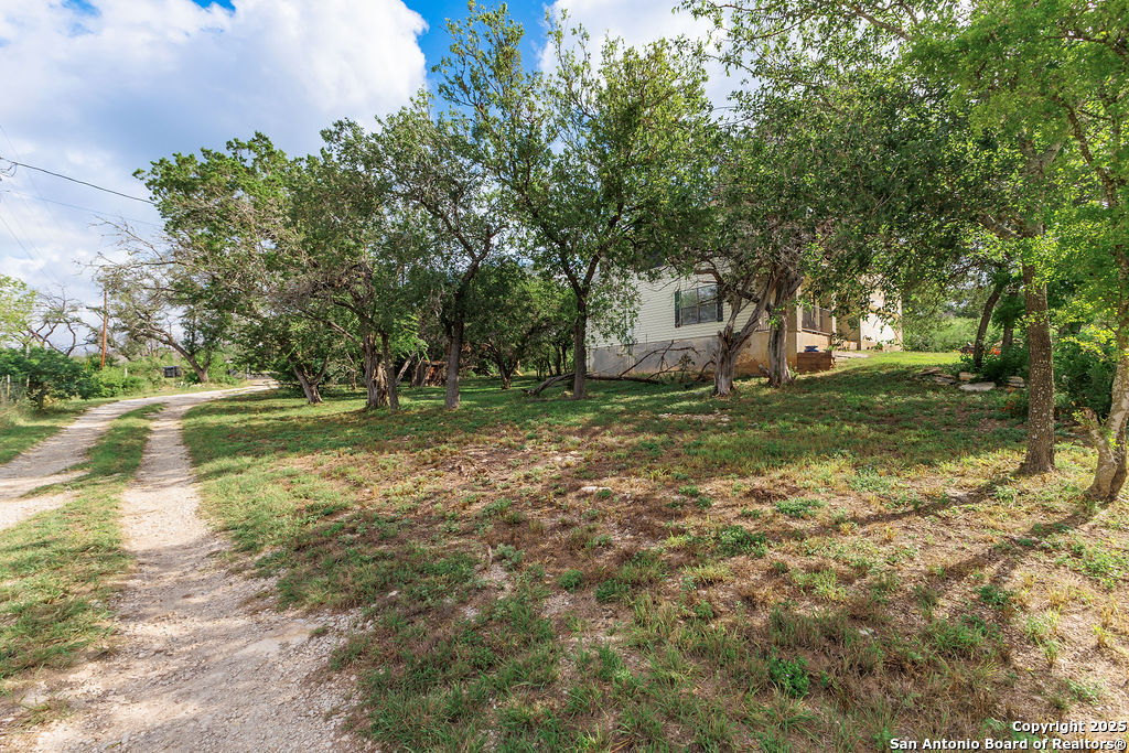 744 County Road 2651 Rio Medina, TX 78066 - Photo 3 of 29 a view of a tree in front of a house