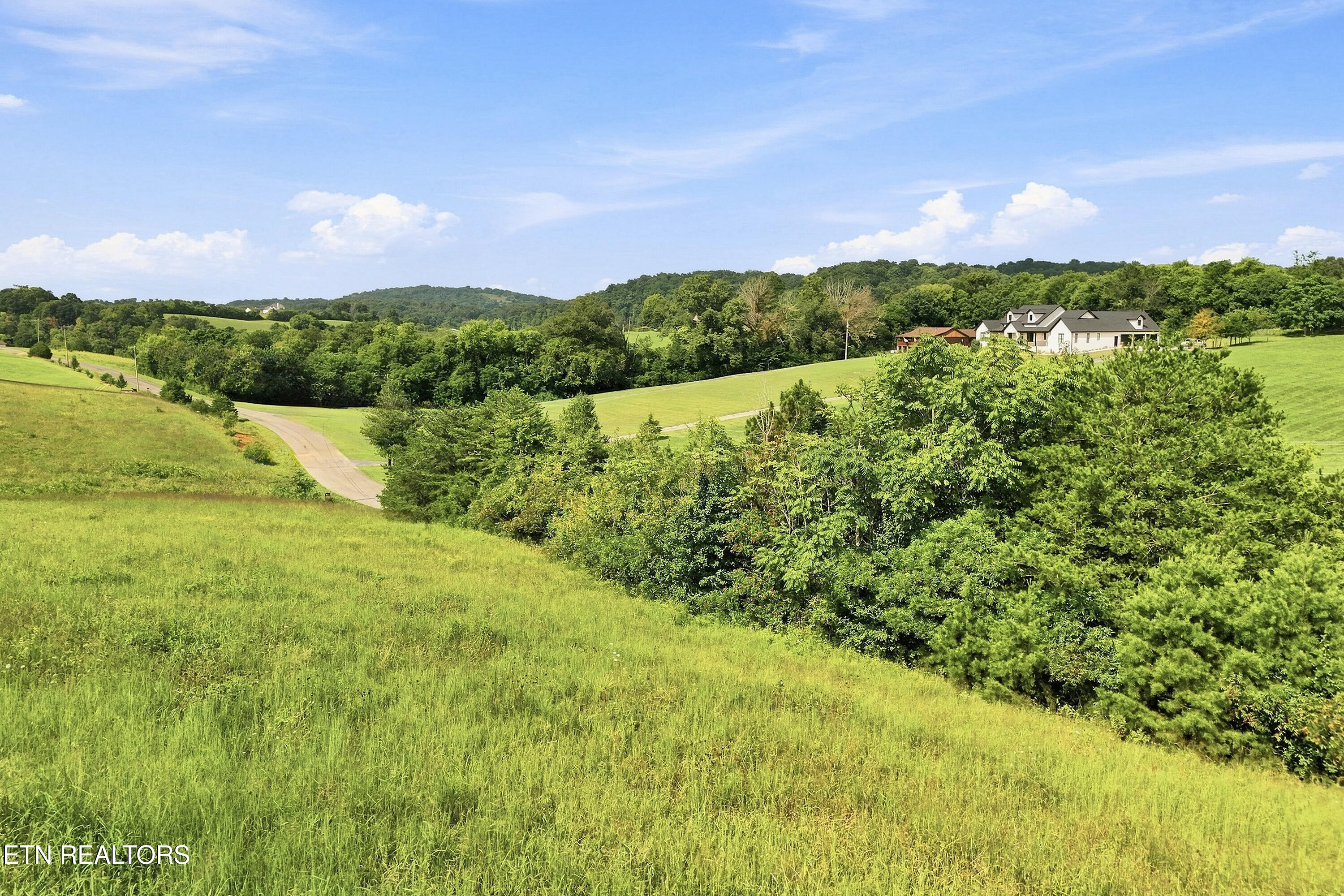 Tbd Holston River Drive Rutledge, TN 37861 - Photo 8 of 19 8_lot43_008