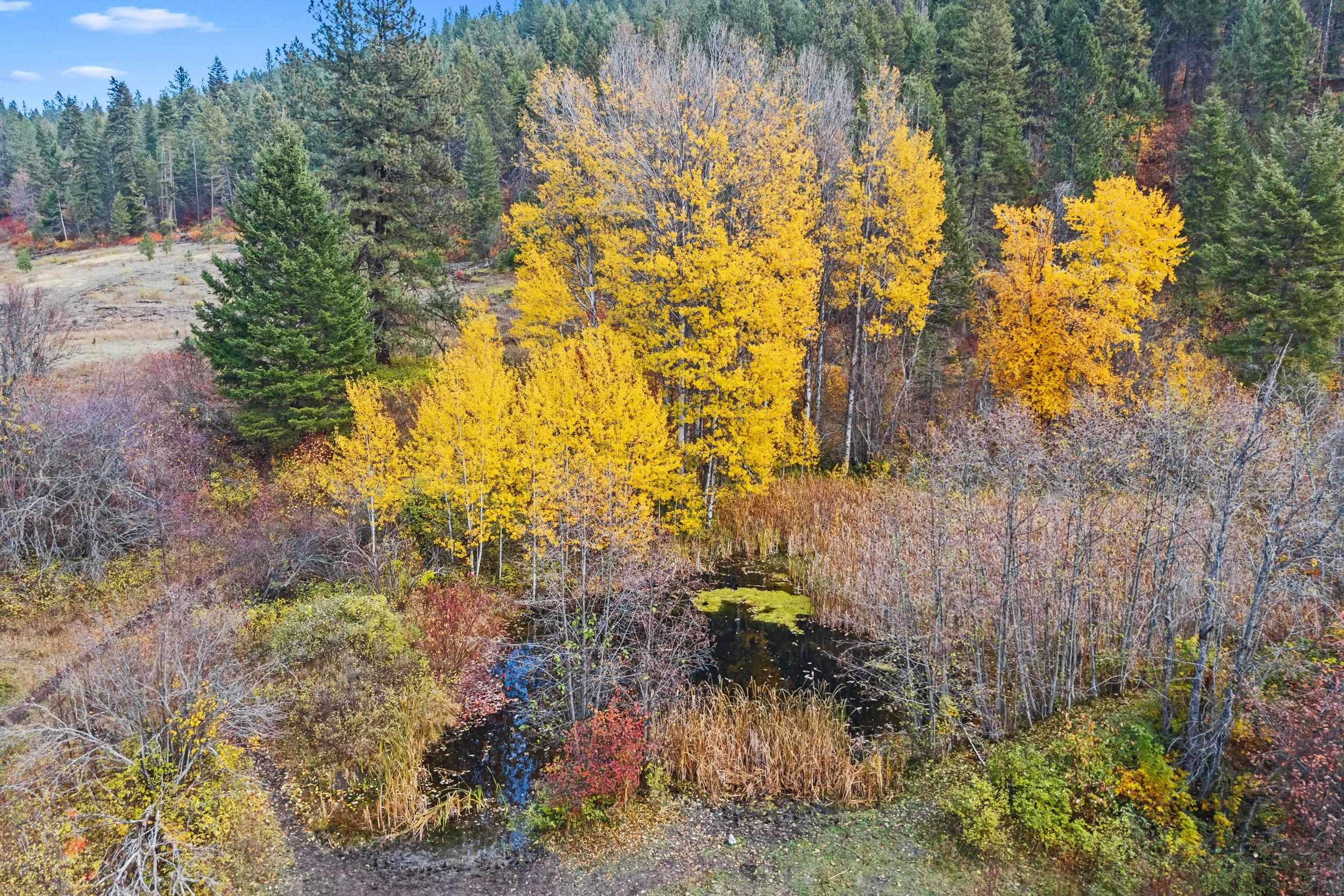 3115 Beardslee Road Kettle Falls, WA 99141 - Photo 33 of 38