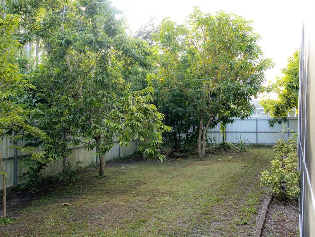 565 Pinehurst Cove Kissimmee, FL 34758 - Photo 9 of 36 a backyard of a house with lots of green space