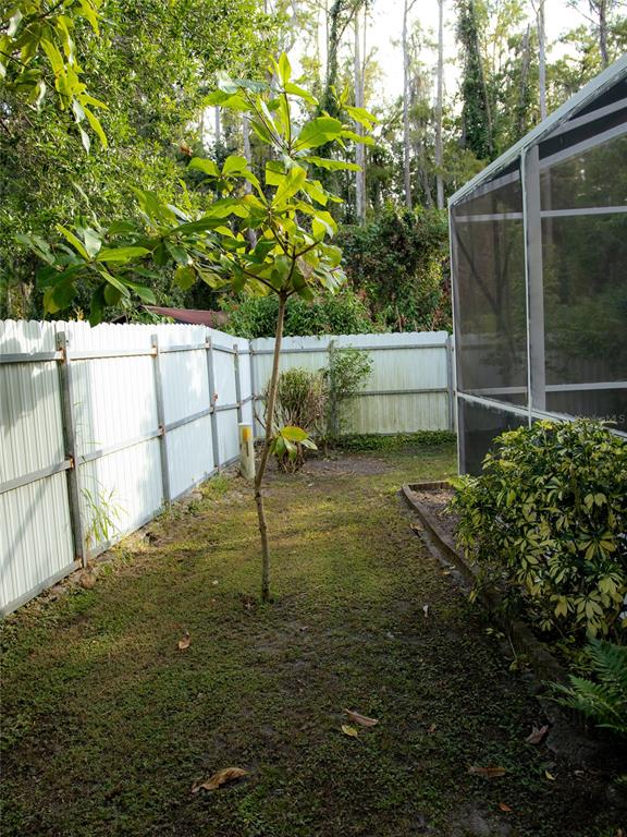 565 Pinehurst Cove Kissimmee, FL 34758 - Photo 10 of 36 a view of a backyard