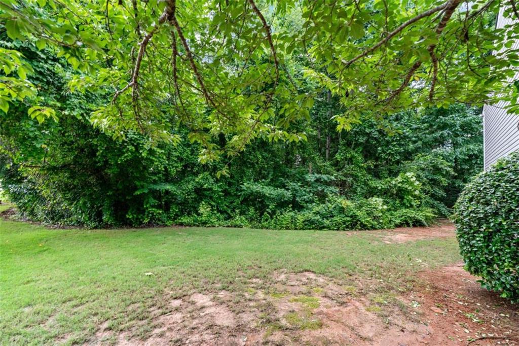 248 Springbottom Drive Southeast Lawrenceville, GA 30046 - Photo 32 of 32 a view of yard with green space