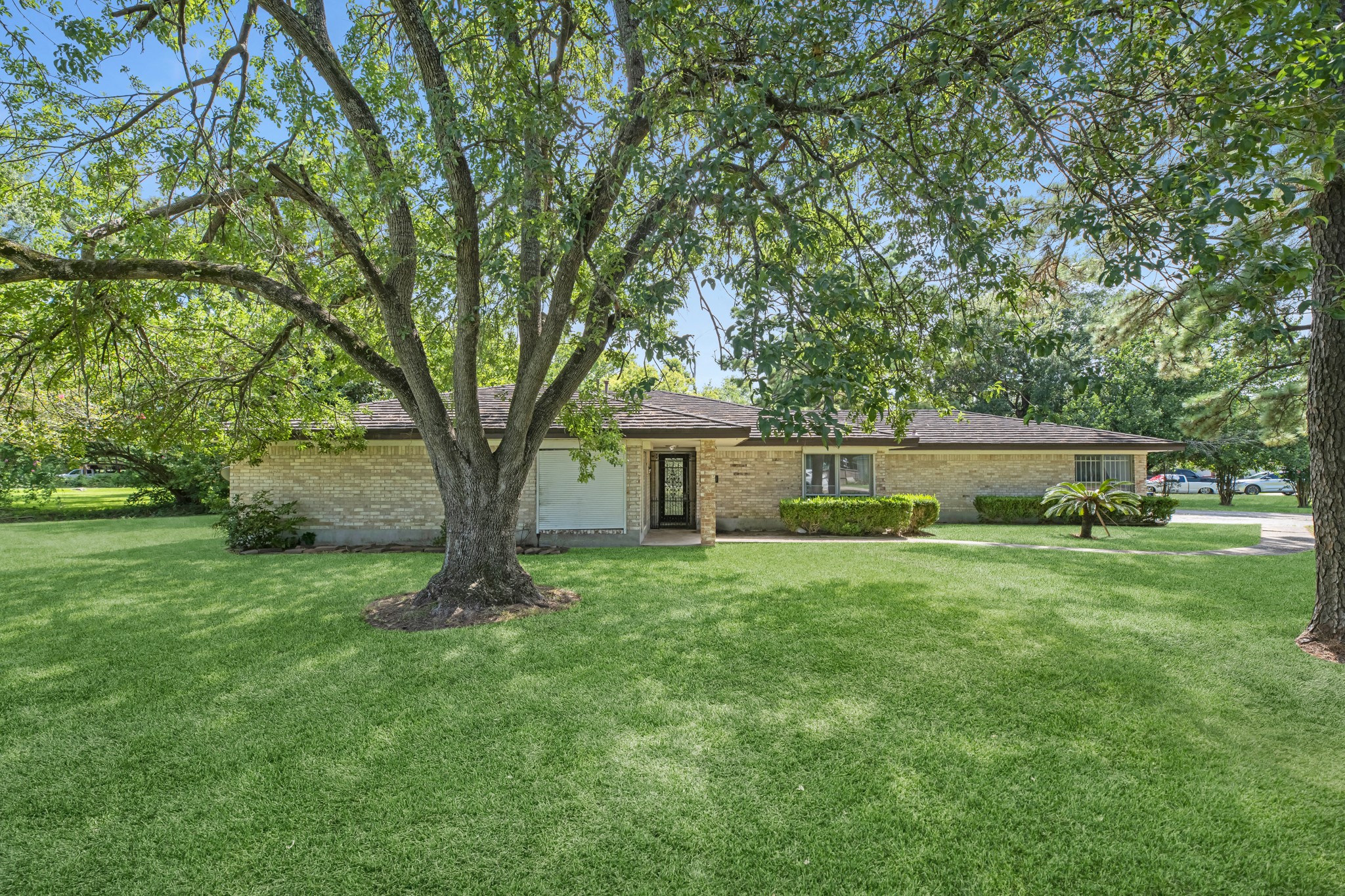 1109 Becker Street Channelview, TX 77530 - Photo 44 of 49 a view of backyard with large trees and plants