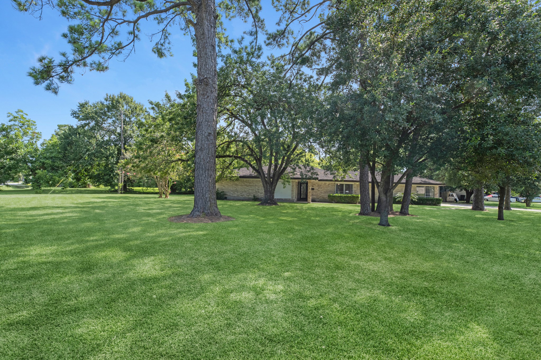 1109 Becker Street Channelview, TX 77530 - Photo 45 of 49 a view of a trees with a big yard