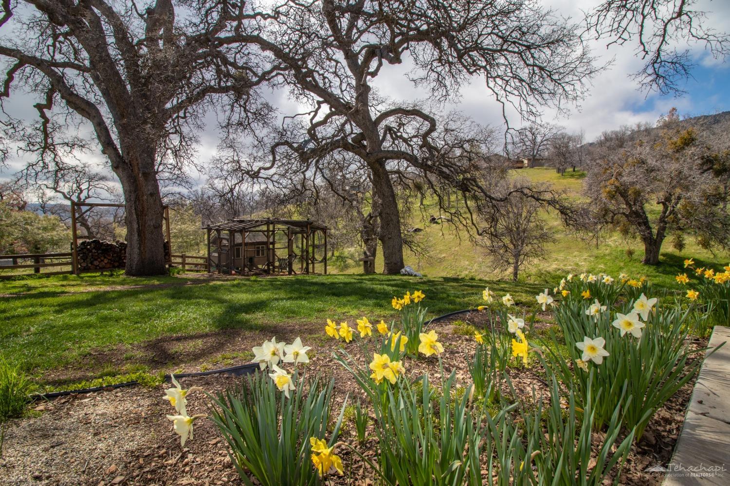 27701 Bear Valley Road Tehachapi, CA 93561 - Photo 49 of 82 Gallery Image 49