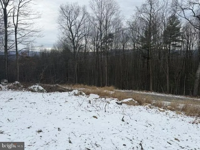 a view of house with a snow
