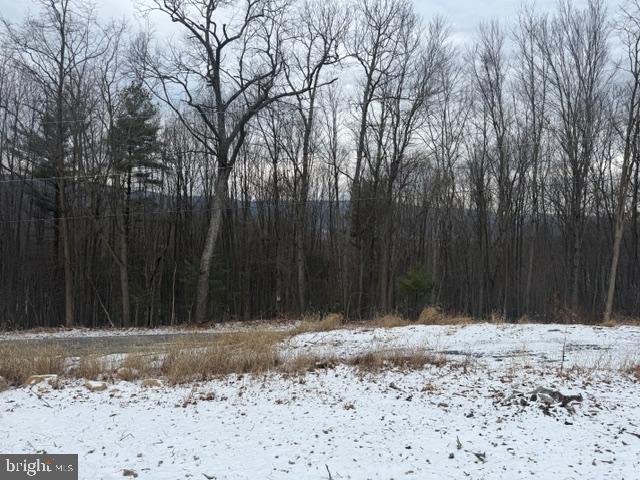 11664 Battistella Road Shirleysburg, PA 17260 - Photo 12 of 14