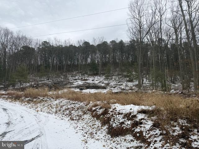 11664 Battistella Road Shirleysburg, PA 17260 - Photo 5 of 14