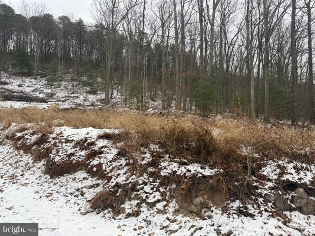 11664 Battistella Road Shirleysburg, PA 17260 - Photo 6 of 14