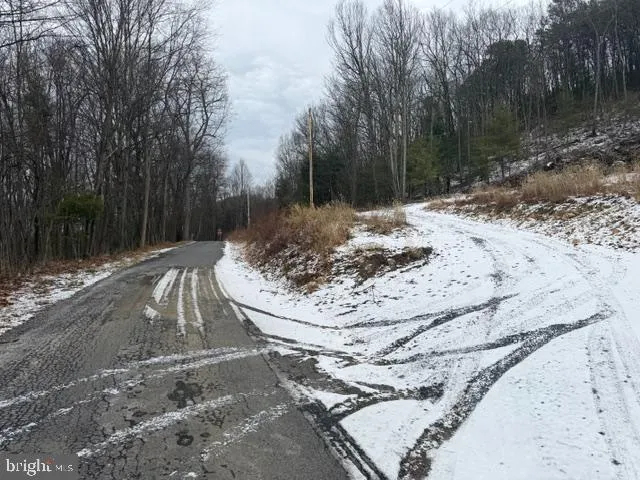 a view of a yard with a large tree