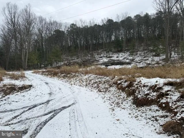 a view of a backyard of the house