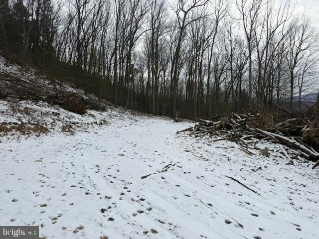 11664 Battistella Road Shirleysburg, PA 17260 - Photo 9 of 14