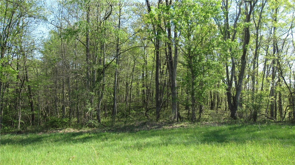 0 Edmonds Branch Road Ona, WV 25545 - Photo 28 of 28 Gallery Image 28
