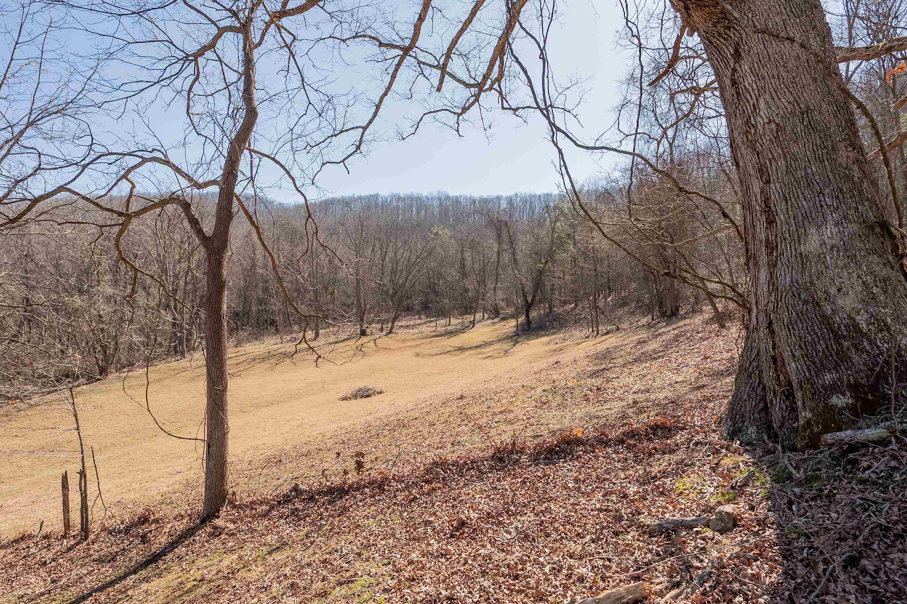 2161 Loafers Rest Road Austinville, VA 24312 - Photo 55 of 94 Gallery Image 55