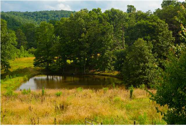 1225 Vulcan Road Rising Fawn, GA 30738 - Photo 3 of 25 Additional Photo
