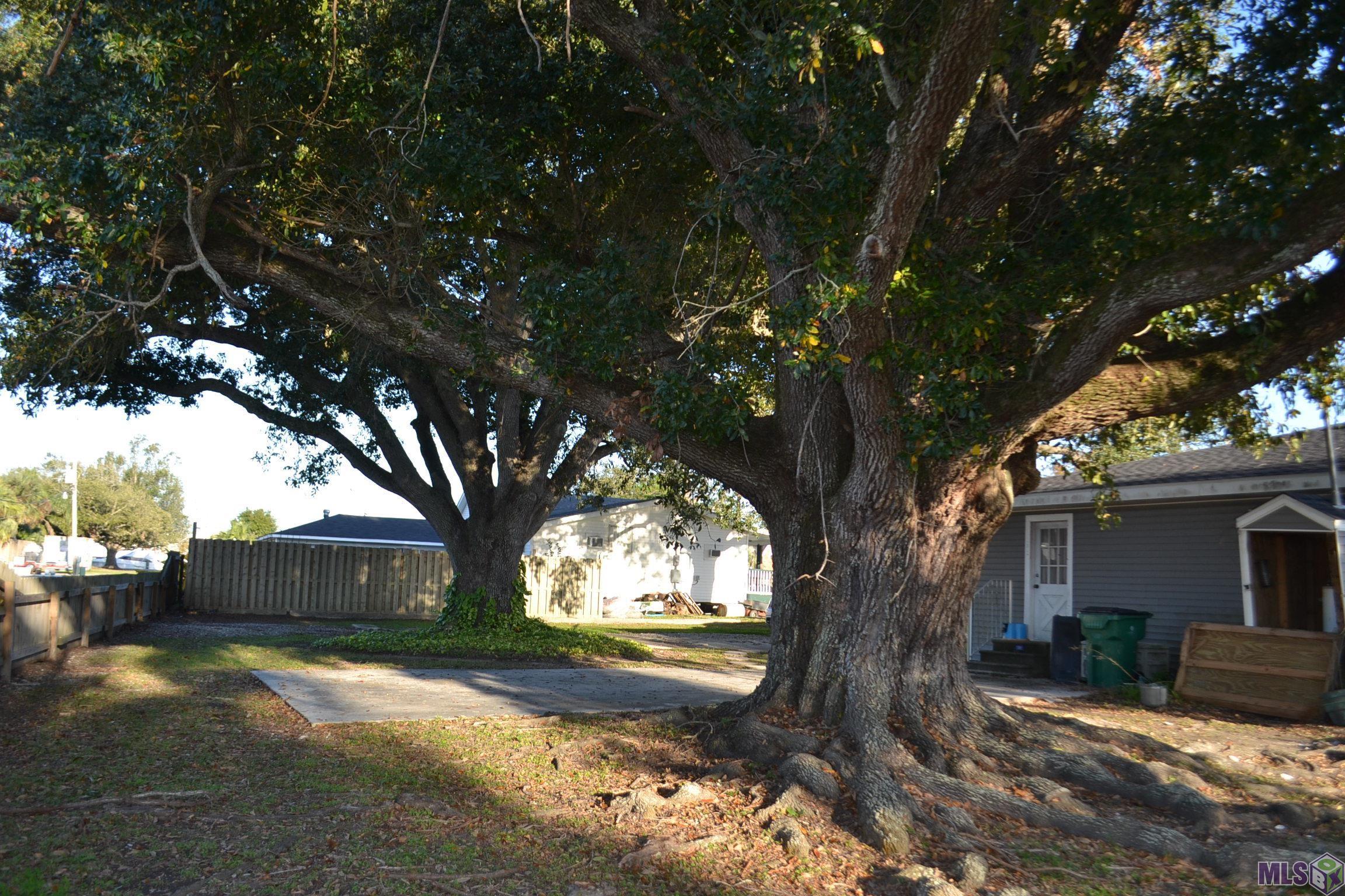 142 West 118th Street Cut Off, LA 70345 - Photo 10 of 30