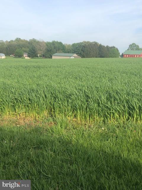 579 Blooming Grove Road Hanover, PA 17331 - Photo 1 of 1 a view of a lush green hillside and a houses