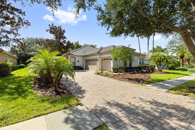 a view of a swimming pool with a garden
