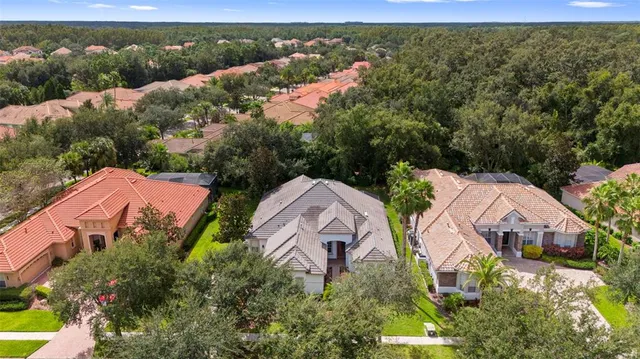 a view of a park with large tree