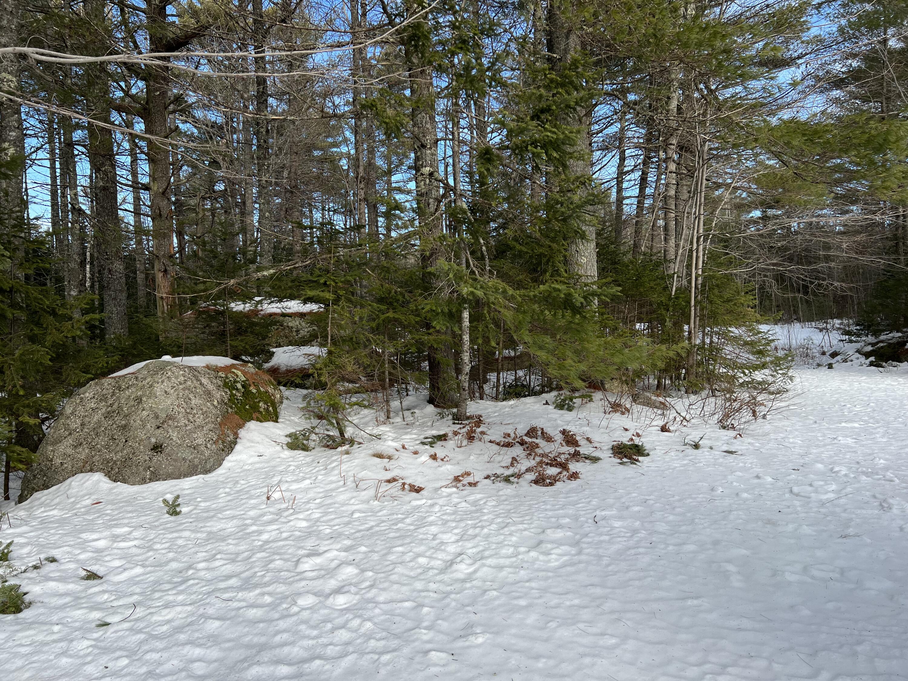547 Bangor Road Ellsworth, ME 04605 - Photo 21 of 24 547 Bangor Road, Ellsworth, ME