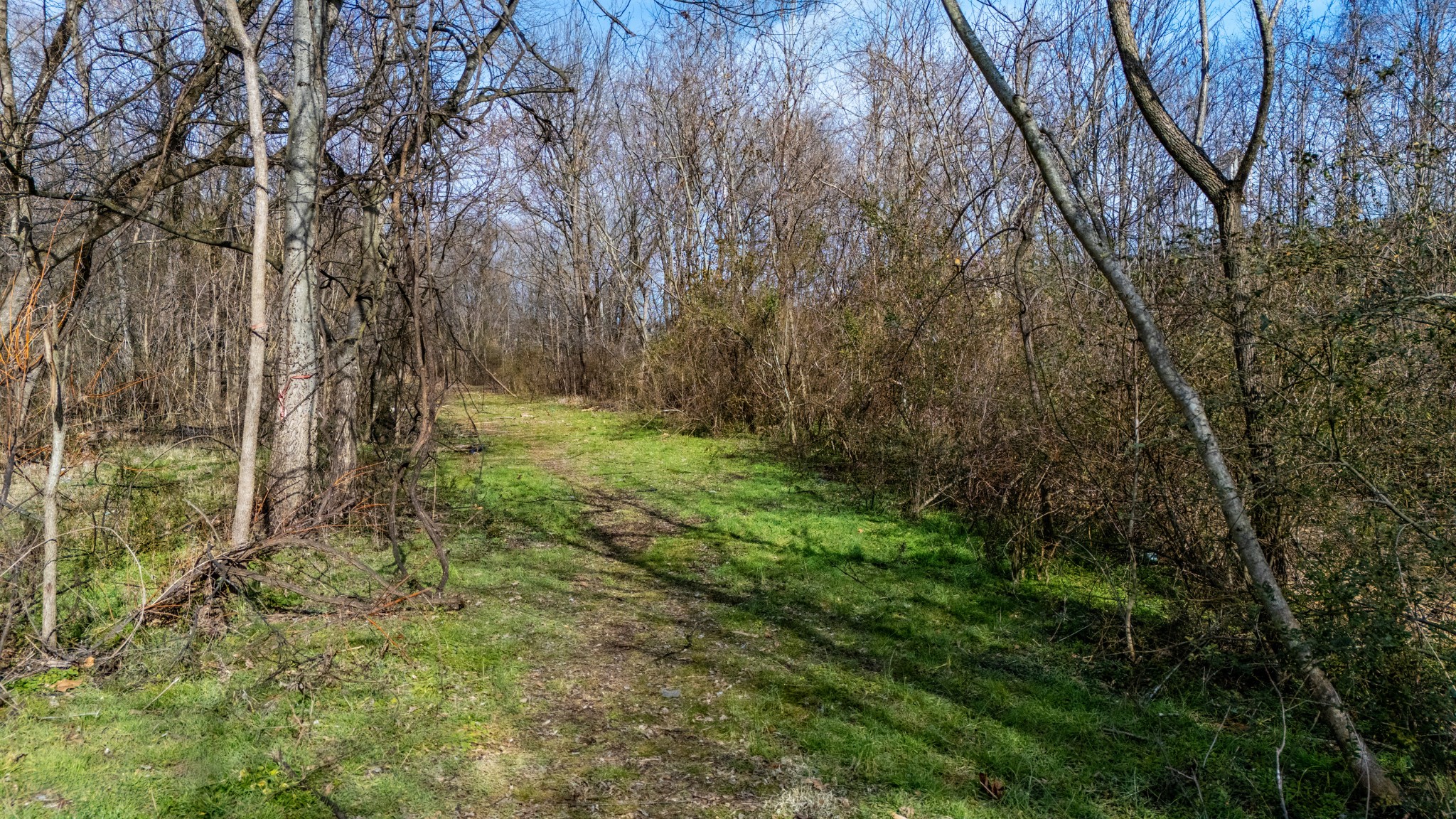 0 Henslee Dr Spring Street Dickson, TN 37055 - Photo 6 of 21 a view of a yard with large trees