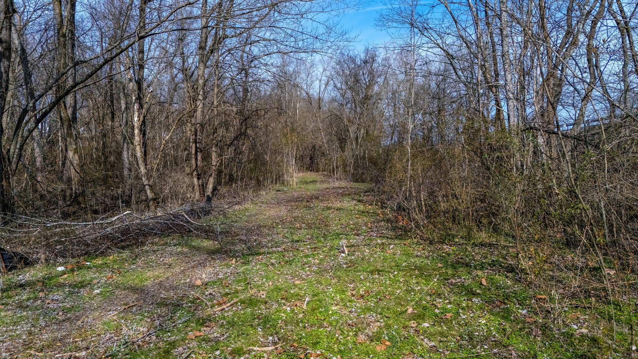 0 Henslee Dr Spring Street Dickson, TN 37055 - Photo 8 of 21 a view of a yard with trees